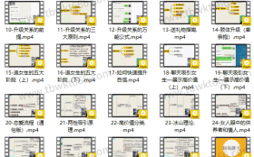 麦子《脱单实战VIP课》视频课程