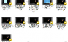 柯老师chris《智选伴侣:男人防止被归零》视频课程