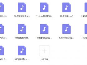 恋爱军团《恋爱指男针》音频课程
