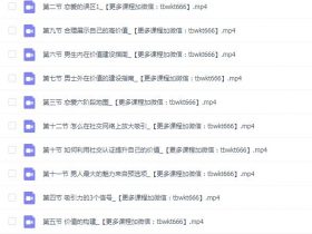 宣宣情感《恋爱术 吸引力的构建》完整版