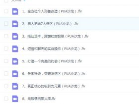 乐鱼团队：内部VIP课程