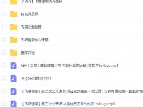 飞喵内部全集课程