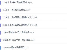 魔鬼咨询师《社交培训课程》音频课程