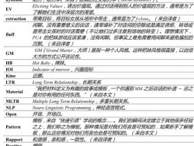 泡妞书籍：《杂耍人方法》PDF