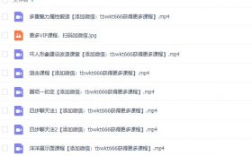 顽心兄弟《网络课2.0》完整版