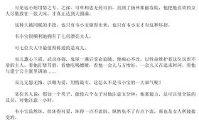 韦小宝的混世法宝 PDF电子书