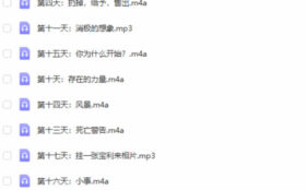红药丸《男子气概31天》音频课