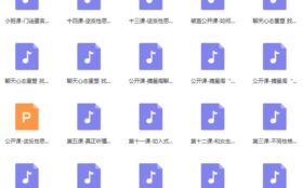 星星私教小班课 内部VIP课程