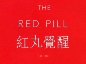 《红丸2.0》PDF电子书