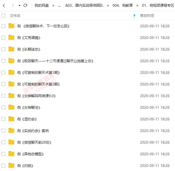 倪团队全集版 PUANEY内部课程合集 百度网盘下载