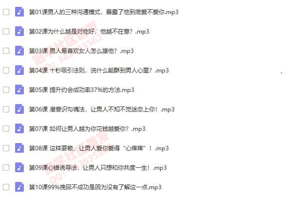 幸福提升营:用男人的思维,和男人谈情说爱(全)