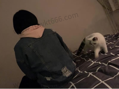 泡妞教程下载 课程资源介绍:网盘学习前你需要想清楚的几件事